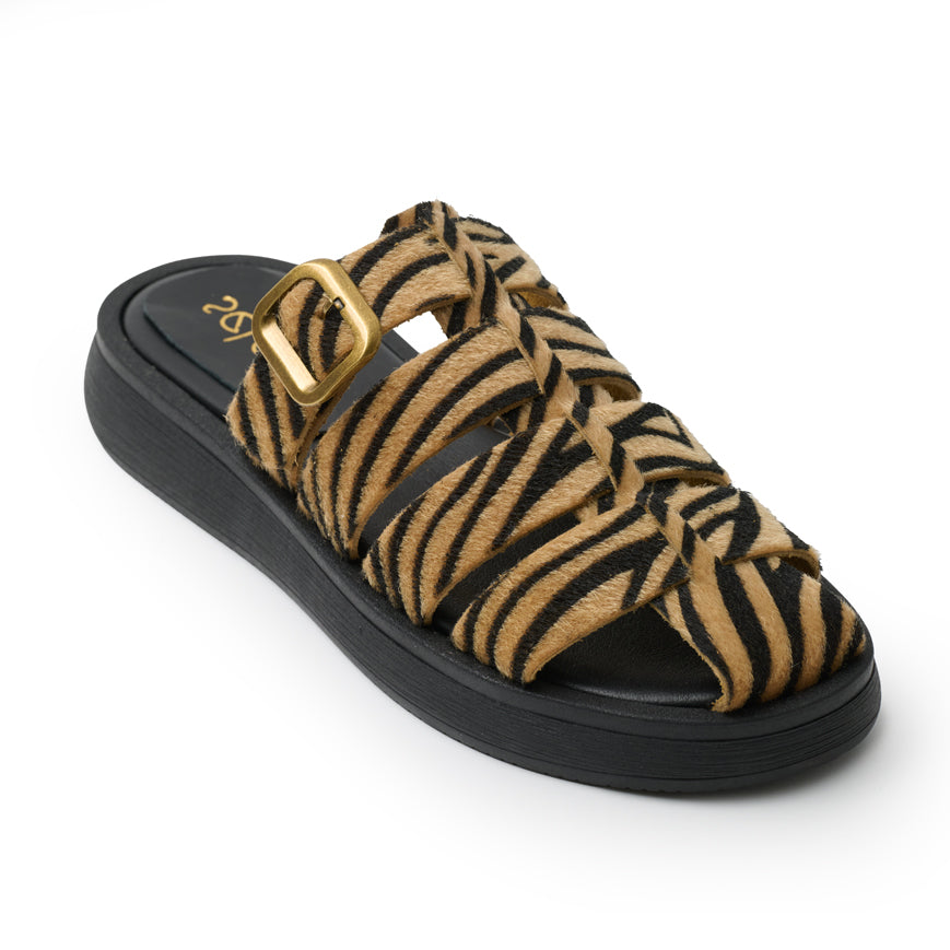 Flatform Soft FF400 - Ζέμπρα