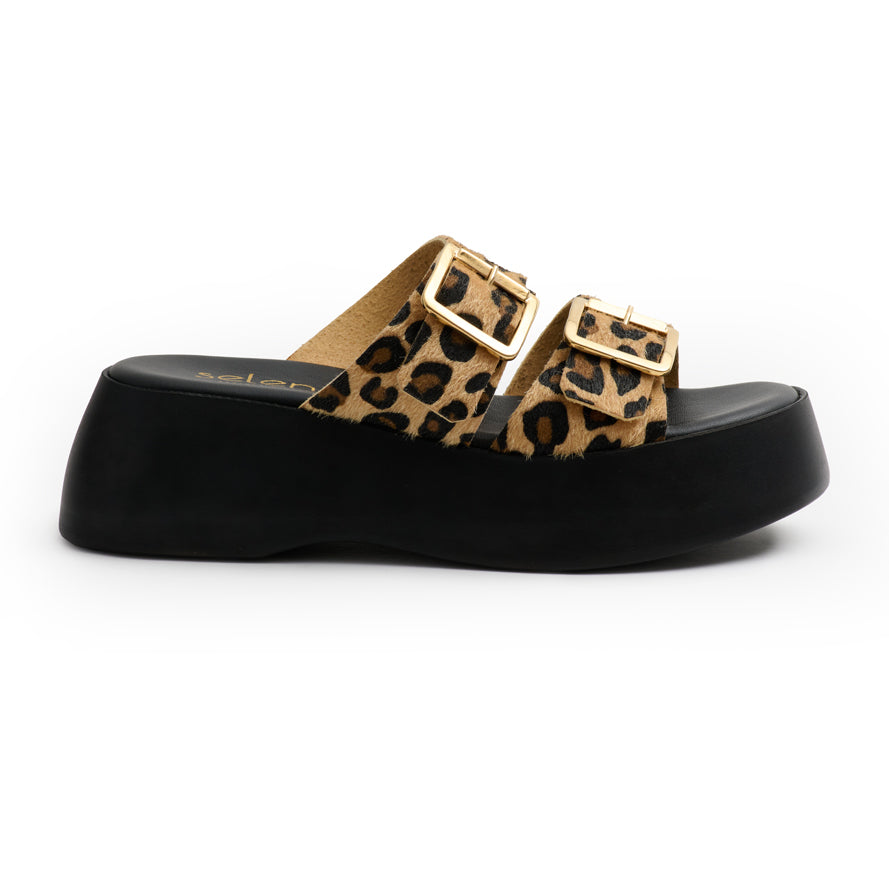 Platform PL25 - Leopard