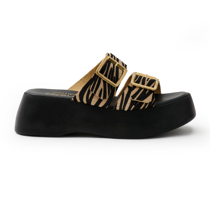Platform PL25 - Zebra