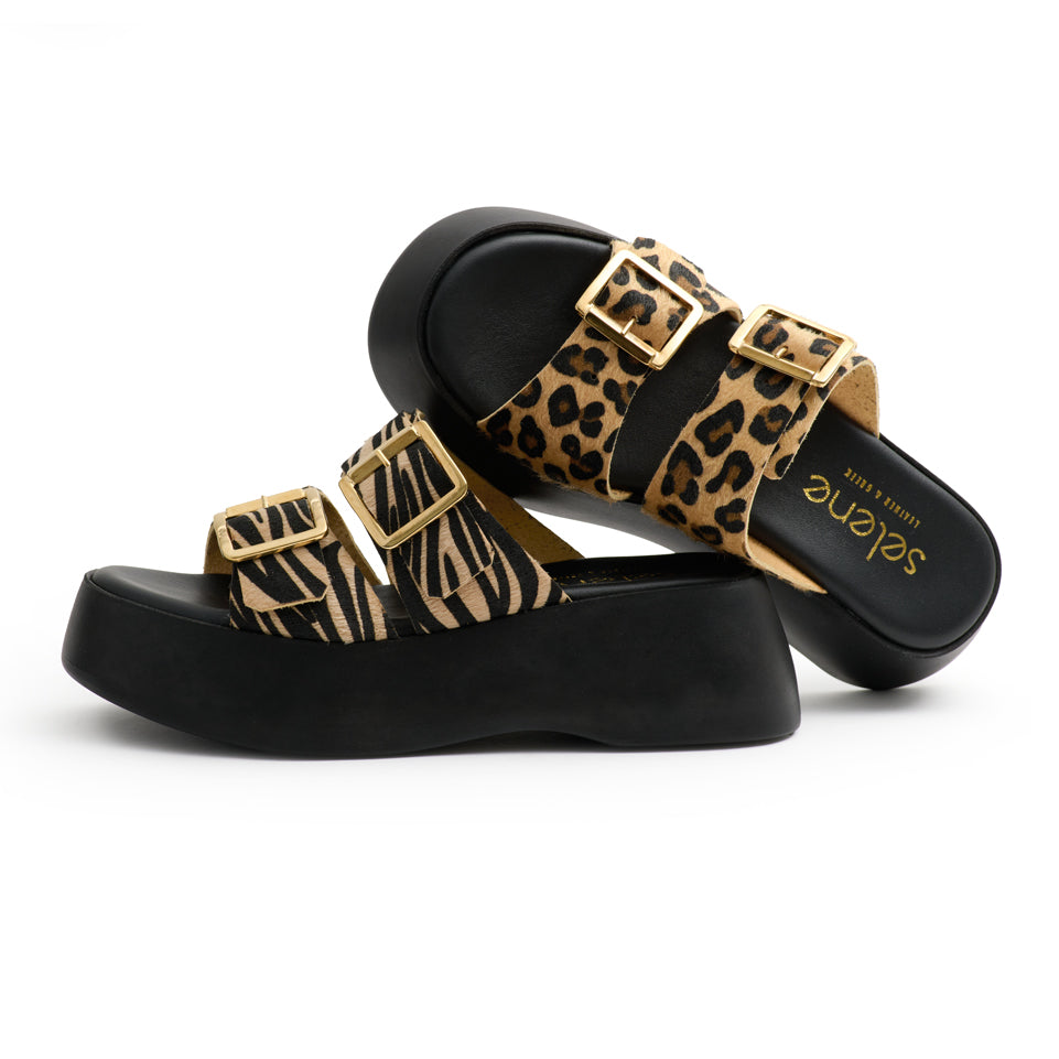 Platform PL25 - Leopard