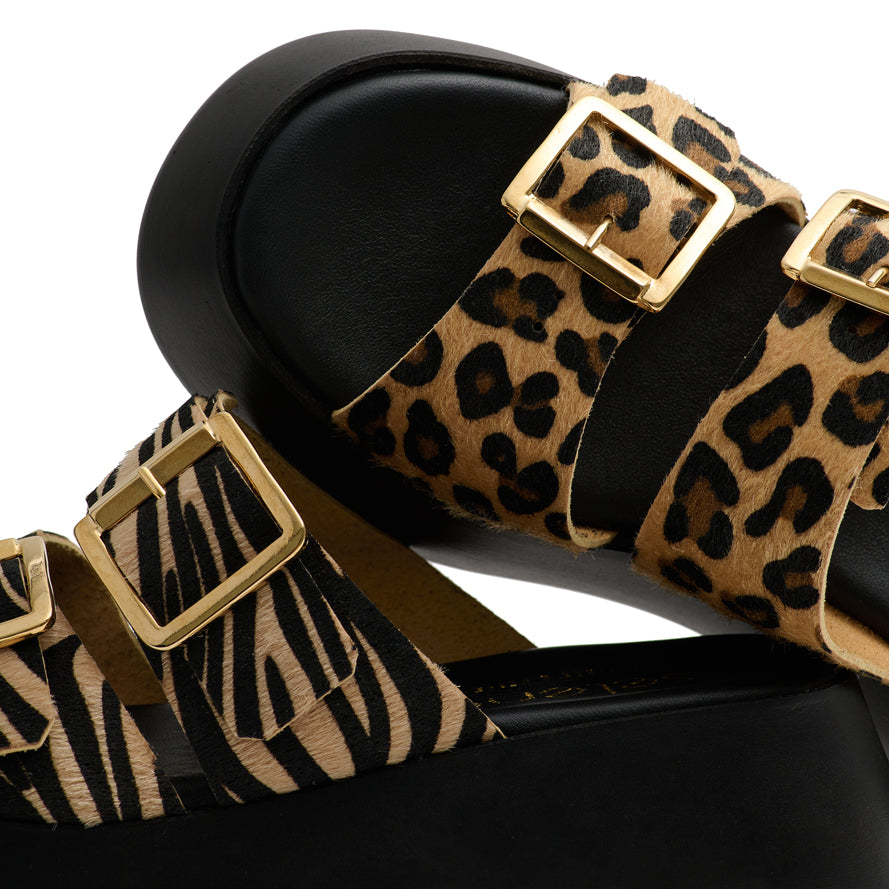 Platform PL25 - Leopard