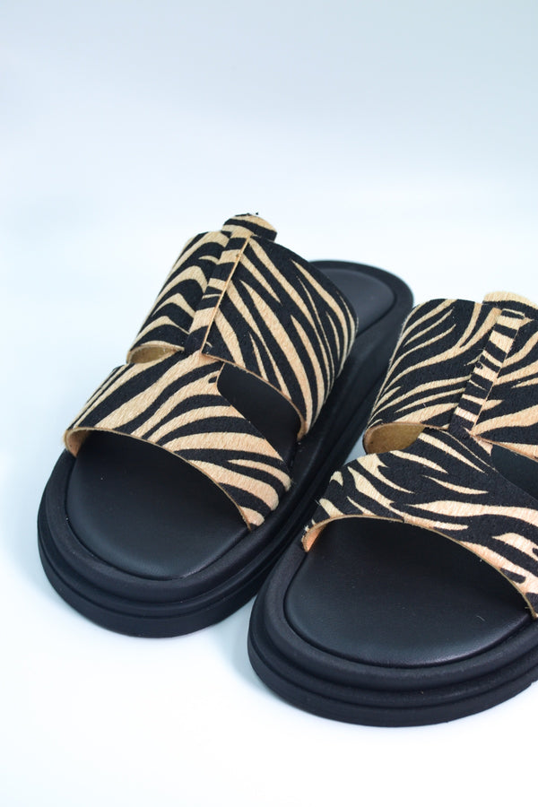 Flatform Soft FF200 - Ζέμπρα
