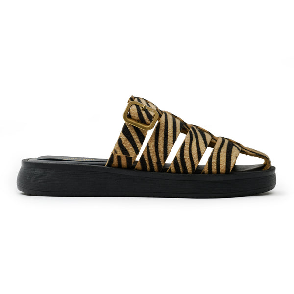 Flatform Soft FF400 - Ζέμπρα